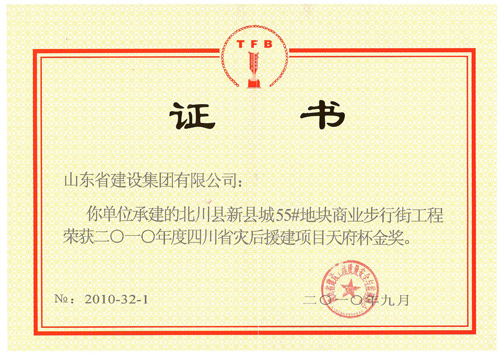 DG����(�й���)����