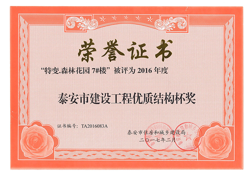 DG����(�й���)����