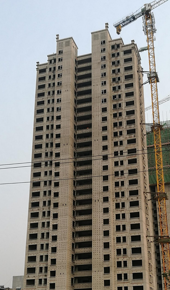 DG����(�й���)����