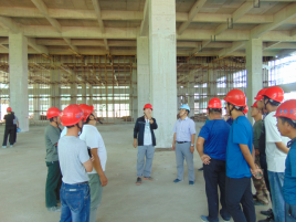 DG����(�й���)����