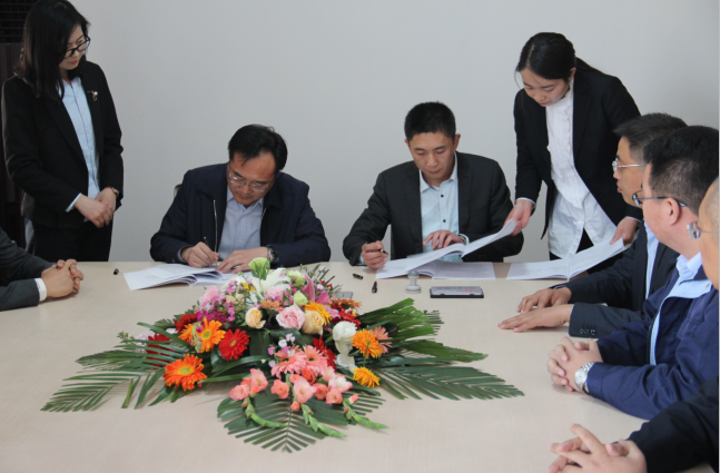 DG����(�й���)����